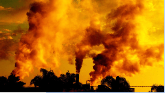 Screen Shot 2017-11-30 at 12.24.47 PM