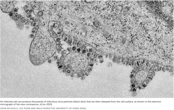 Screen Shot 2020-04-14 at 10.10.59 PM