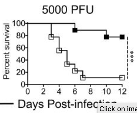 Screen Shot 2020-04-15 at 3.41.55 PM