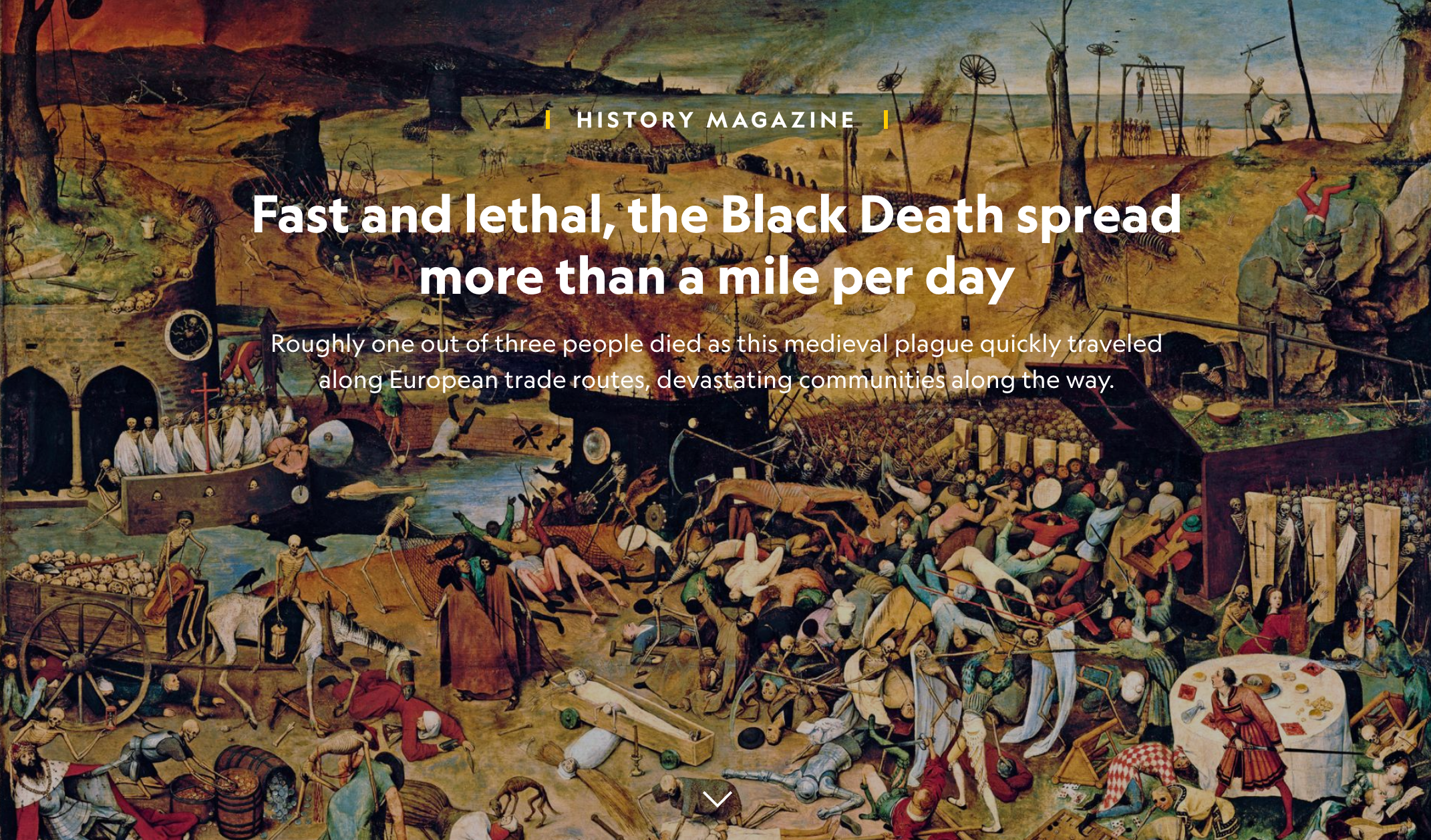 Screen Shot 2020-07-15 at 11.23.39 PM